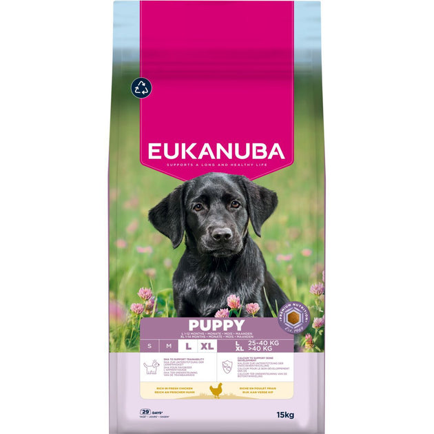 Eukanuba Puppy Large Breed Chicken