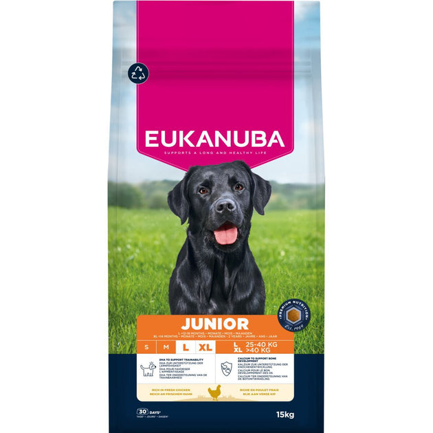Eukanuba Junior Large Breed Chicken