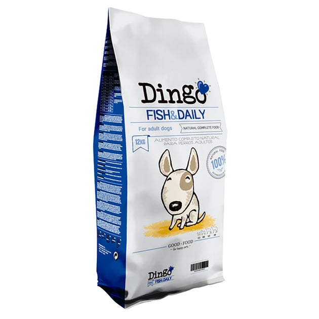 Dingo Fish & Daily with Fish